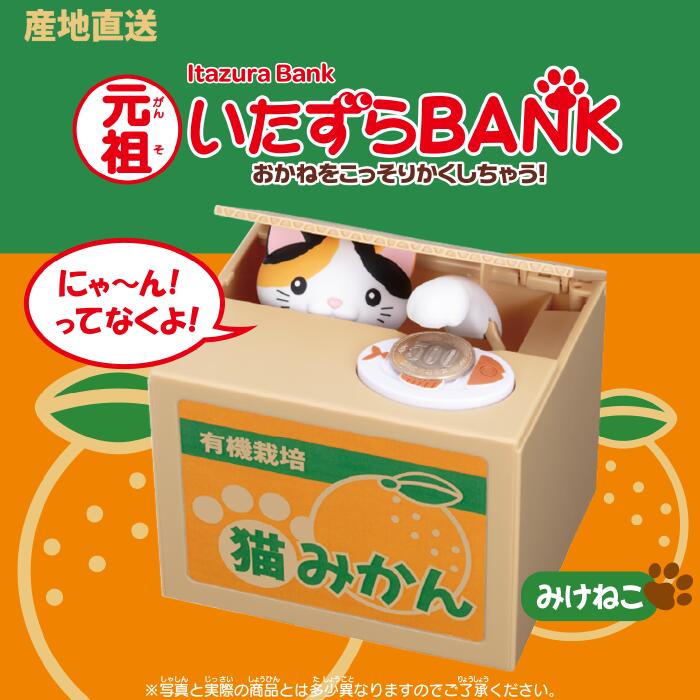 セレクトショップピーエムピー|生活を笑顔に、ココロオドル発見がここ